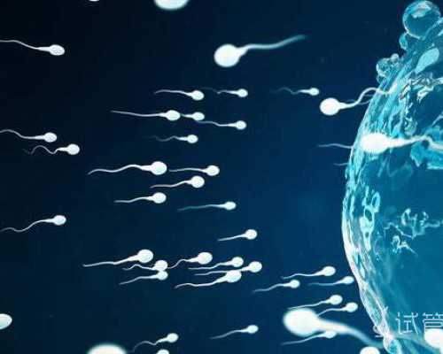 自己过香港验血多少钱_香港验男女一般第二天几点出结果_测男女结果会翻盘吗