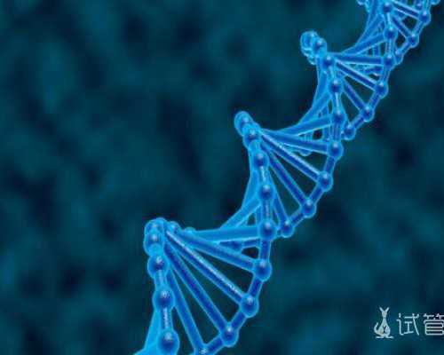 香港验血生男孩多少钱_香港验血深圳代理_性别鉴定几周准确!