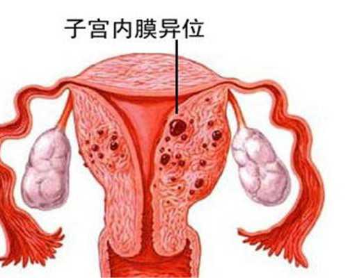 香港验血和b超都是男宝_香港验血需要提供什么材料?原来你不知道的还有这么多