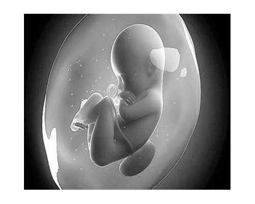 香港可以做性别鉴定邮寄验血_怀孕9周香港验血_原理是什么有哪些条件!