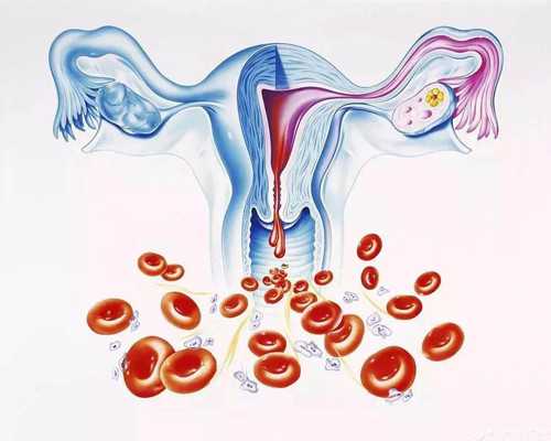 北京古玩鉴定专家收费吗?_当罗马尚未建于世间：伊特鲁里亚文明展苏州开展