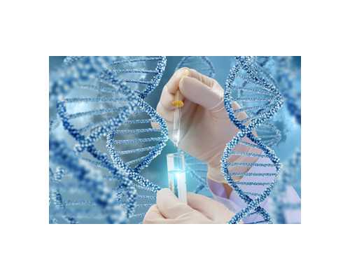 香港验血是女孩 胎儿孕囊是长的_生过一个儿子去香港验血准吗_验血查男女准确