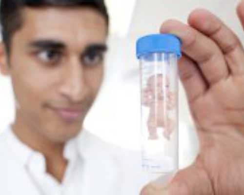 古玩大亨小说免费阅读_湖北襄阳考古发现汉唐墓葬群 出土文物两百余件