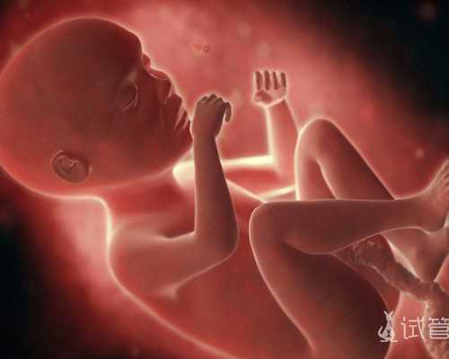 北京古玩免费鉴定_尼奥·劳赫 《SCHILFKIND》 布面油画 2010