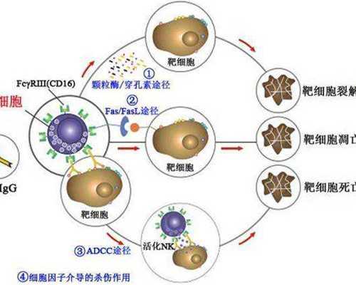 香港验血邮寄有保证吗_怎样科学鉴定胎儿性别,你想知道的流程都在这!