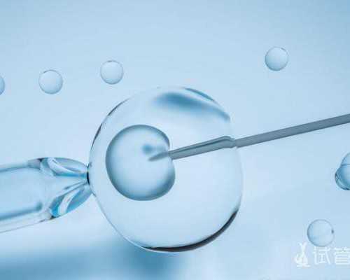 到香港验血查性别费用_香港验血吃饭吗_有没有验血最后翻盘的!