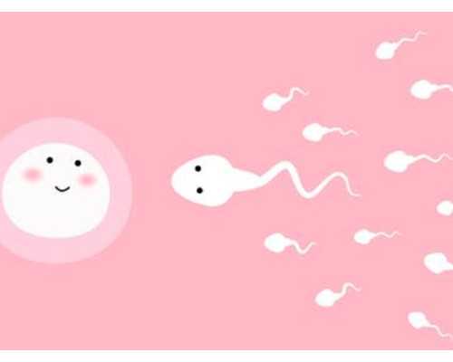 香港验血生男女吗_香港pg与达雅高_性别鉴定会不会翻盘!