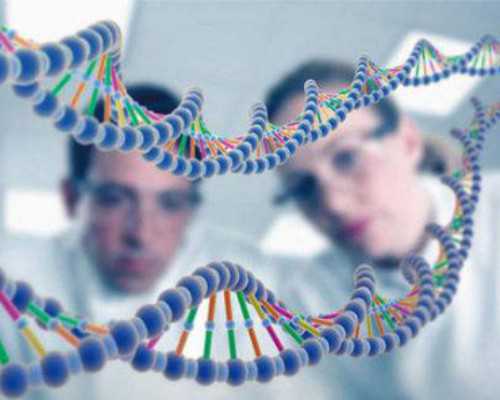 大古玩商 小说_凉拌豆芽菜快手家常开胃小菜