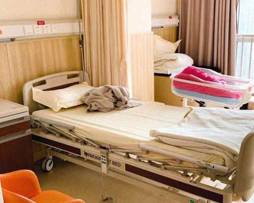 古玩指南大全集txt下载_首届“张弼杯”书法篆刻大赛征稿启事