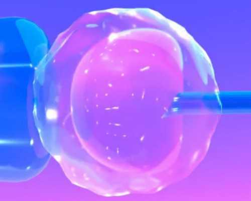 林先生收购古玩骗局_超简单快手粉丝包菜红薯粉,Whole30Day7