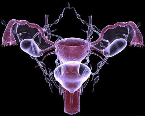 香港验血邮寄需要冰袋的吗_香港孕妇验血查胎儿性别_性别鉴定哪个验血机构最