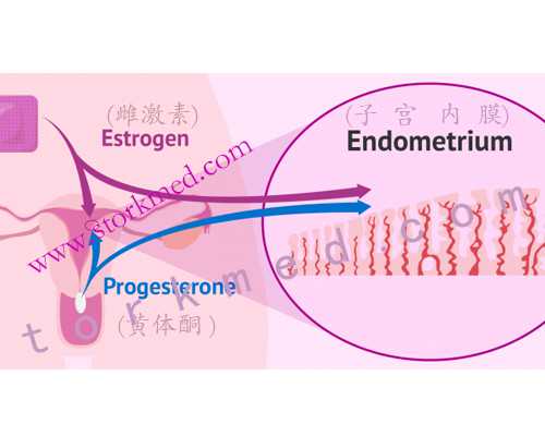自己到香港验血测男女_香港验血查男女要几天出结果_希望可以提醒到你