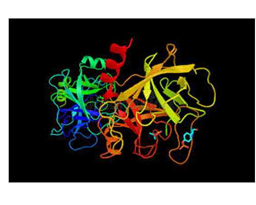 昆明古玩交易上门收购_有利于结实男人臀部的练习