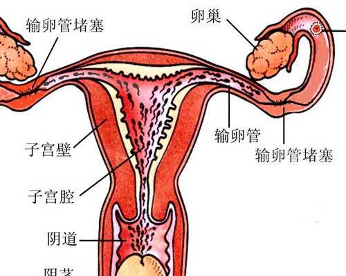 香港验血小地方验准吗_香港三大基因化验所_验血查性别要到哪预约!