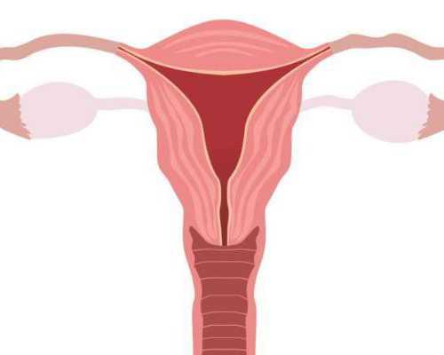 香港验血邮寄靠谱求介绍_怎么找中介做香港验血测性别_亲身经历详细攻略