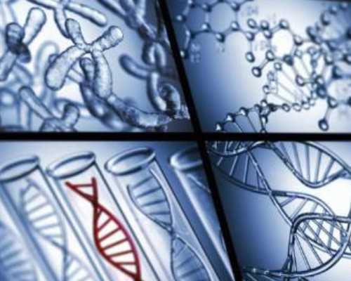 香港dna验血是男孩照B超说是女孩_大陆抽血去香港化验可靠吗?全面信息 让你一