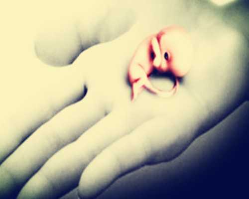 贵阳正规的古玩鉴定公司_雨花石珍品已炒高到数十万 专家：目前还是地板价