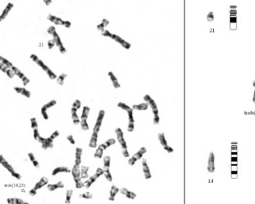 中华古玩网官网网页_富艺斯：让香港拍场层次更丰满