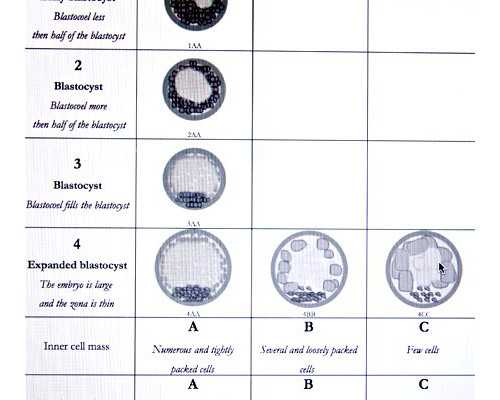 为什么香港验血价格有不一样的_香港验血检测性别一般多久出成果