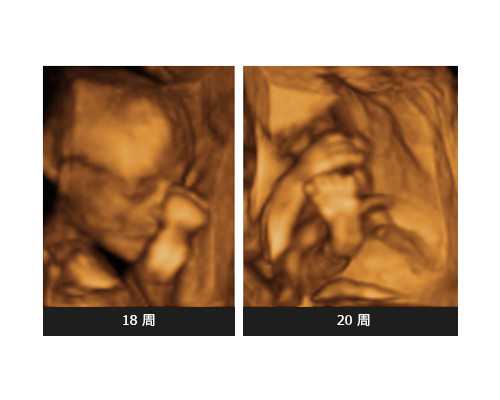 捡漏古玩珍宝_天工人巧日争新——新时代传统工艺传承与创新人才培养实践