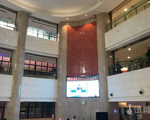 香港验血结果是男孩不知道准不准_怀孕6个月看男女准确率_你想知道的都在这了