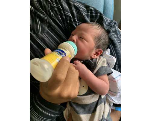 西安古玩市场摆摊时间_岭南画派代表人物关山月一批作品亮相羊城