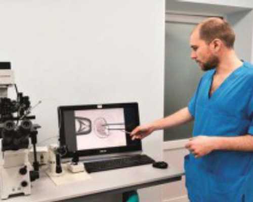 鉴定古玩系统 红薯蘸白糖_艺术品收藏寒冬还未结束