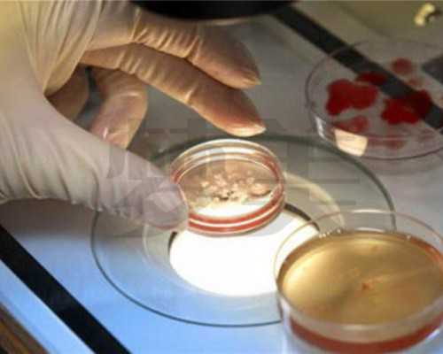 试管婴儿在家香港验血测男女吗_香港验血的宝妈说说_验血查男女哪个验机构准