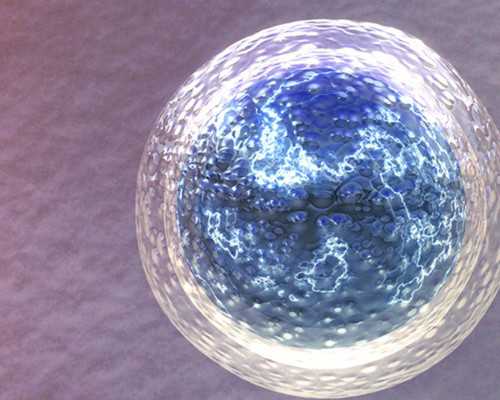 十部古玩电视剧39集完整版_厨师长教你:“火爆鸭胗”的家常做法,香辣脆爽,