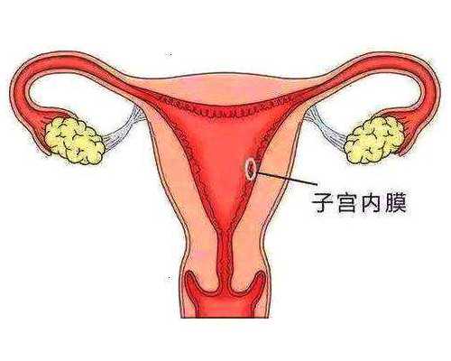 双孕囊香港能验血吗_香港验血胎心比胎芽重要_验血攻略及流程说明!