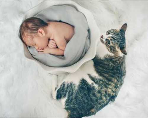 香港验血 费用多少钱啊_香香港是否可以查孕妇男女,真的有那么高准确率吗