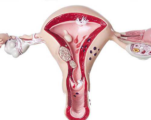 如何邮寄香港验血_去香港验性别鉴定收费给大家一些建议,如何到香港6周查性别