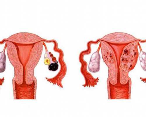 送人去香港验血的中介_《那时花开》讲的到底是怎样的一个故事？电影《那时