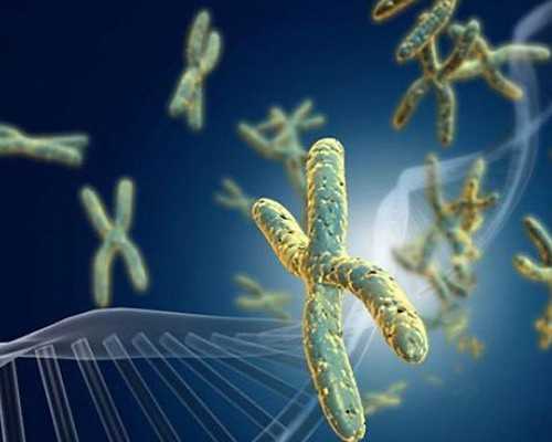 香港验血经过中介靠谱吗_生化会影响香港验血吗_几周检测最准,需要准备什么