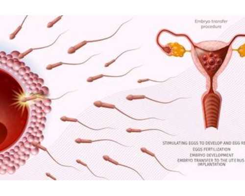 香港化验所验血价格3000_香港的产科诊所验血吗_没y生了男孩真的很准吗