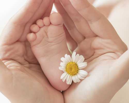 香港4大验血医院_关于科学实验的作文(600字)一篇有关科学实验的作文作文