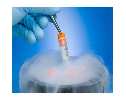 香港验血什么情况下检测不准_《播种希望的种子》 你赞同爷爷的做法吗写写你