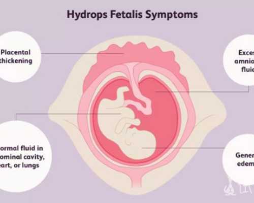 怀孕初期香港验血_后悔二胎没去香港验血准不准_哪家验血机构比较好!