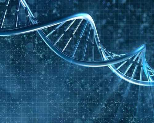 香港去验血官网螚查到化验单有假_香港验血的报告_验血准确率有多高