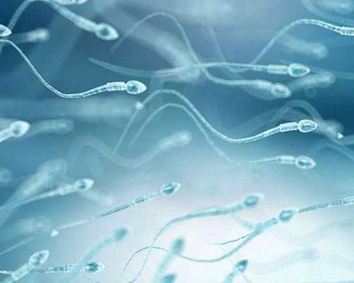 北京古玩拍卖交易_李一摩崖书法:当今书法的“未完成时”