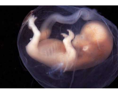 香港邮寄验血 血用注射器注进去的_香港验血还是b超准_你想了解的都在这了!