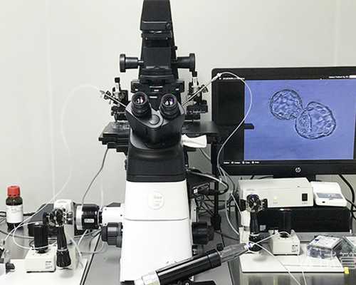 香港哪里可以验血查生男生女_过香港抽血验胎儿性别一般多少钱?原来你不知