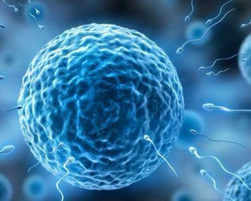 攀枝花专业古玩运作经纪人_公共艺术：一颗具有生长性的种子