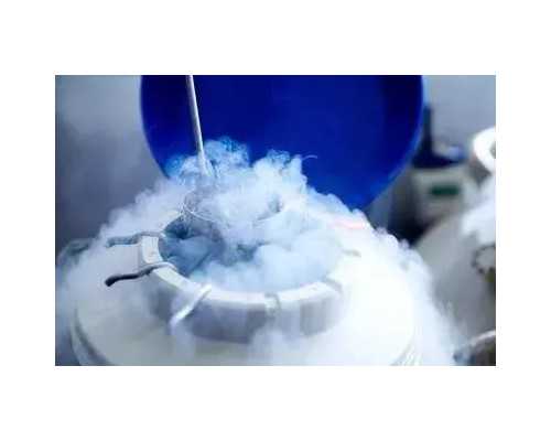 人虫古玩第几集_南红手串的价值经久不衰的原因是?