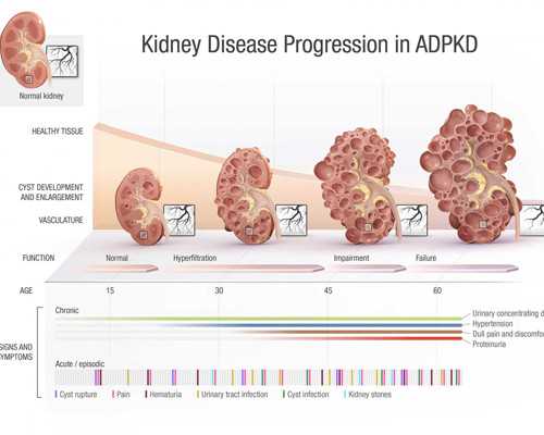 马海方笔下的老北京，笔精墨妙，引人入胜