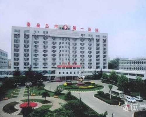 中华古玩网官方网站详细地此_上海小吃咸豆浆