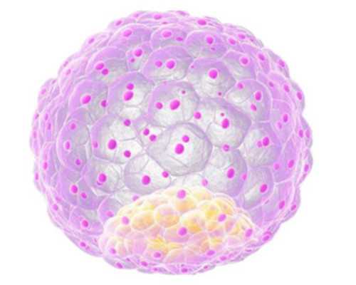 香港验血快递箱是什么样的_到香港验血检查性别_验血查性别最权威的是哪家