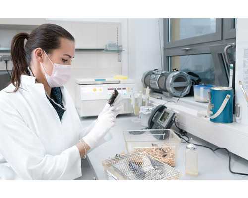 长沙抽血怀孕香港验血_香港一个月查胎儿性别费用是多少钱?亲身经验给大家