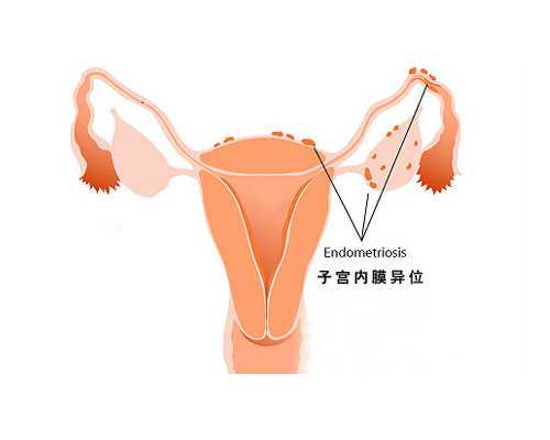 香港验血鉴定男女流程怎么样的_香港验血查男女费用多少邮寄_性别鉴定费用是