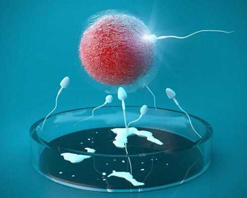 香港鉴男女验血试纸_香港验血几周可以验到_验到男孩女孩有人翻盘的吗!